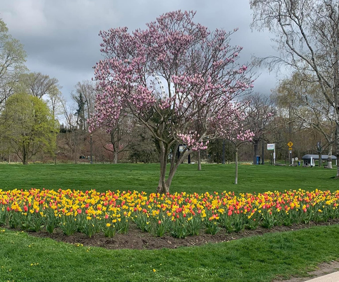 spring tours of Niagara Falls